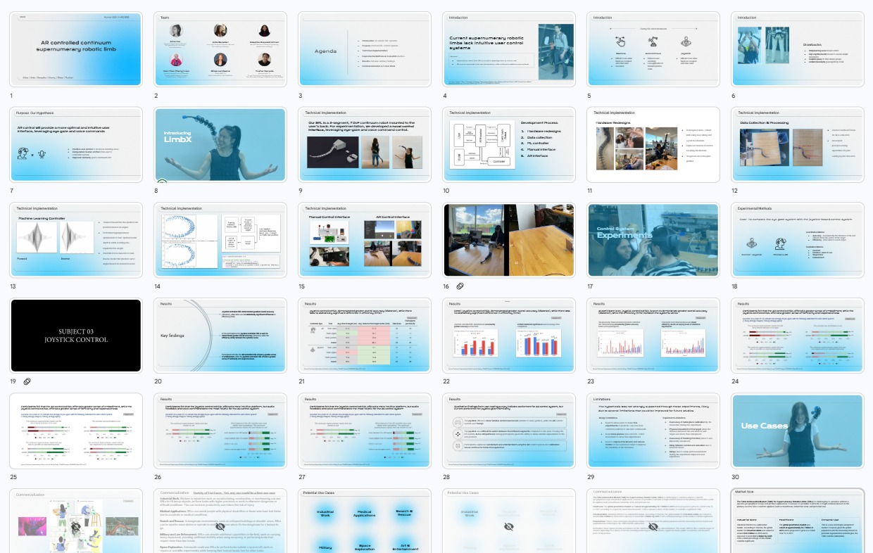 ARCCSRL Final Presentation Slides