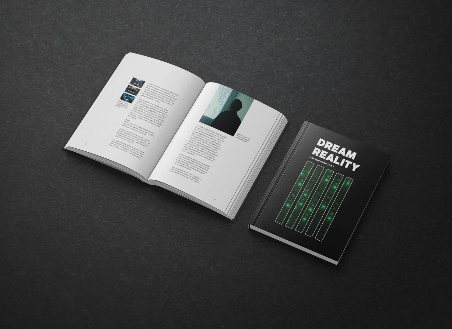 Dream Reality Thesis Book PDF